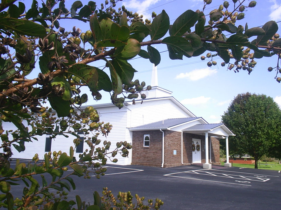 White Pine, TN fall in any street of White Pine. photo, picture