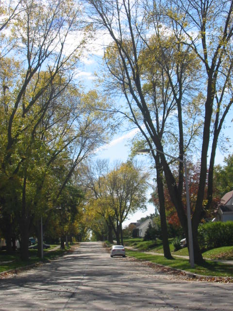 West Allis, WI: My Street