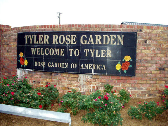 Tyler, TX: Tyler Rose Garden