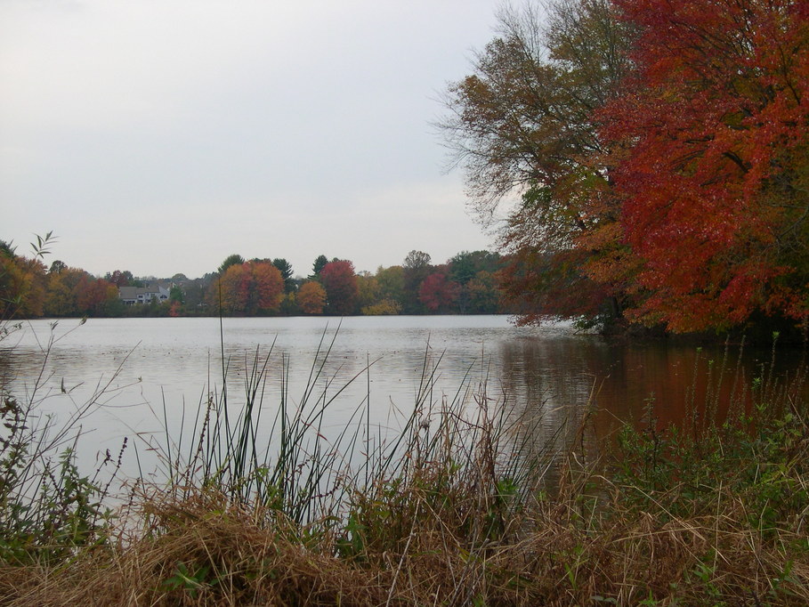 Churchville, PA: Churchville Reservoir in the fall