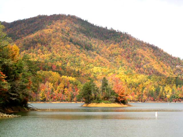 Elizabethton, TN: Watauga Lake