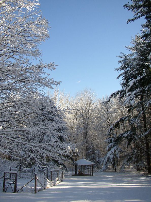 Madison, CT: Winter's Perfection