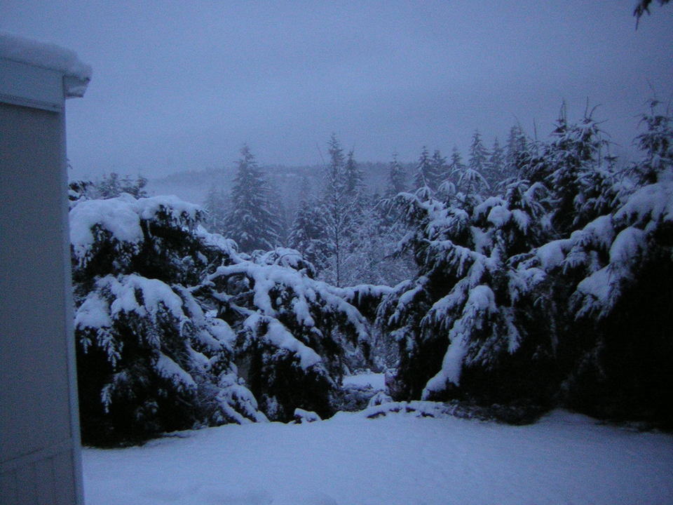 Bonney Lake, WA Brrrrr Winter '06 photo, picture, image (Washington