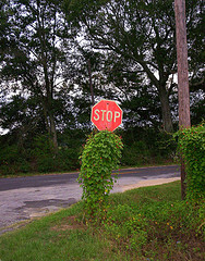 Ashburn, GA: stop sign