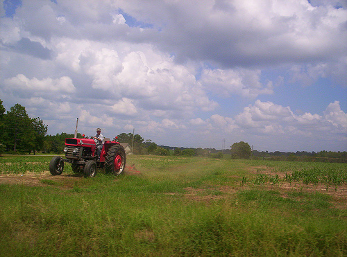 Ashburn, GA: Man on Tractor