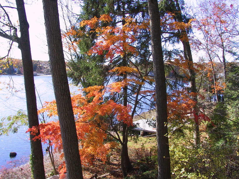 Ringwood, NJ: Erskine Lake 2006, Fall Colors