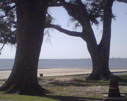 Pascagoula, MS: Beach Blvd surrounded by the beautiful Gulf on one side and beautiful Oak trees on the other side