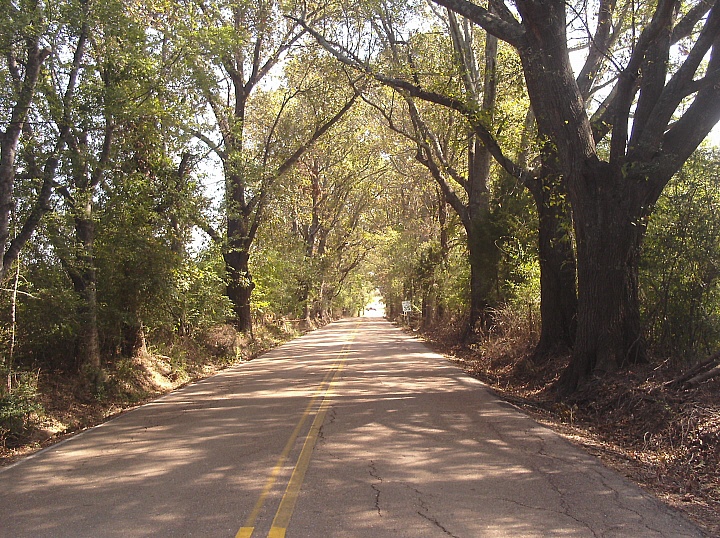 Ridgeland, MS: Old Agency Road (Looking East)