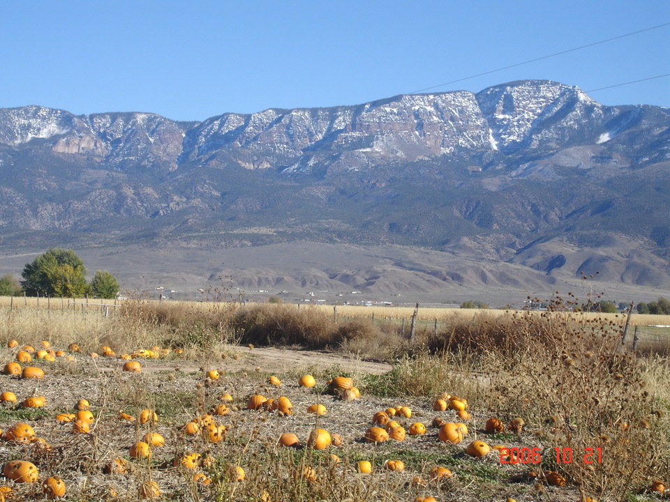 Richfield, UT: Cove Mountain