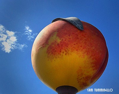 Clanton, AL: "BIG JUICY PEACH" holds 500,000 gallons of water.