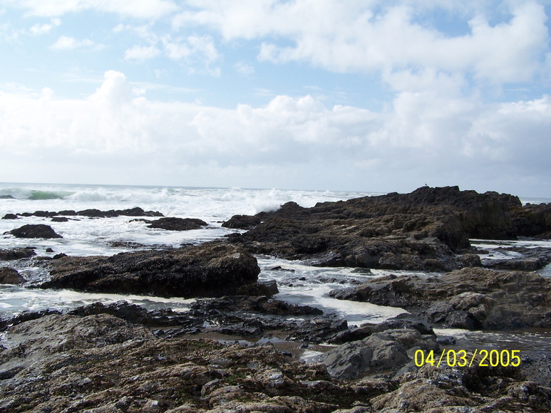 Lincoln City, OR tide pools photo, picture, image (Oregon) at city