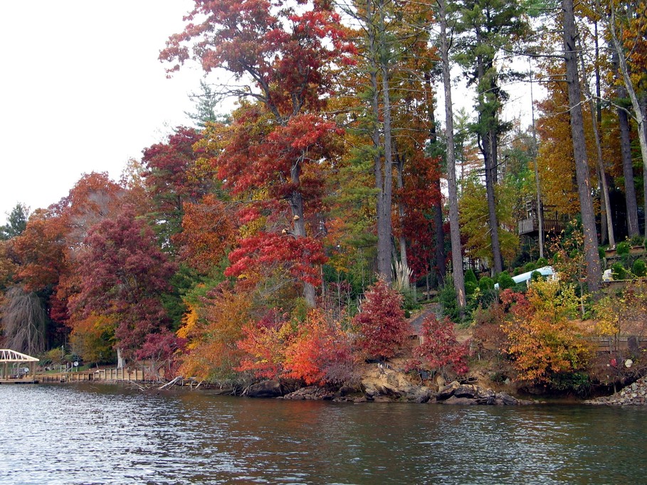 Hickory, NC: Fall on Lake Hickory