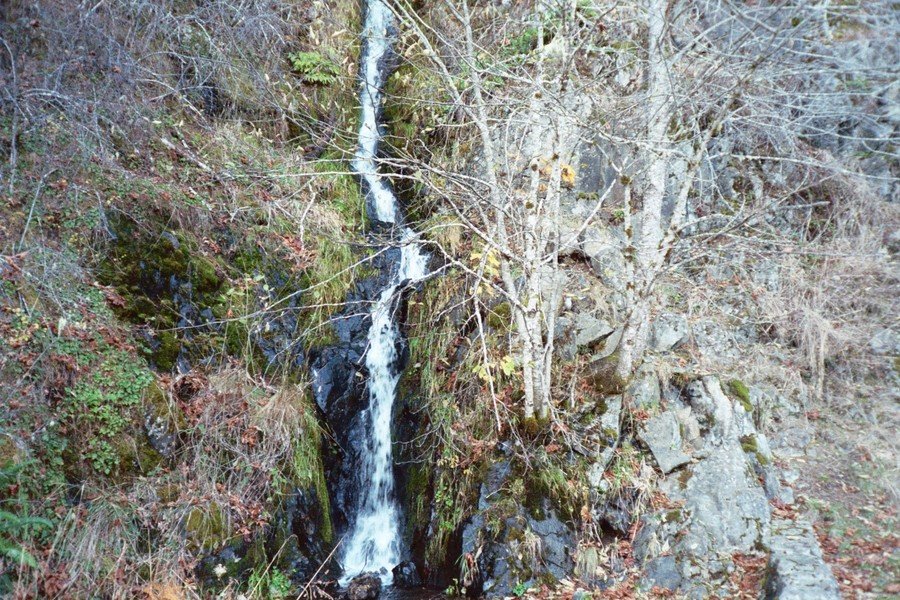 Philomath, OR: Waterfall on Mary's Peak