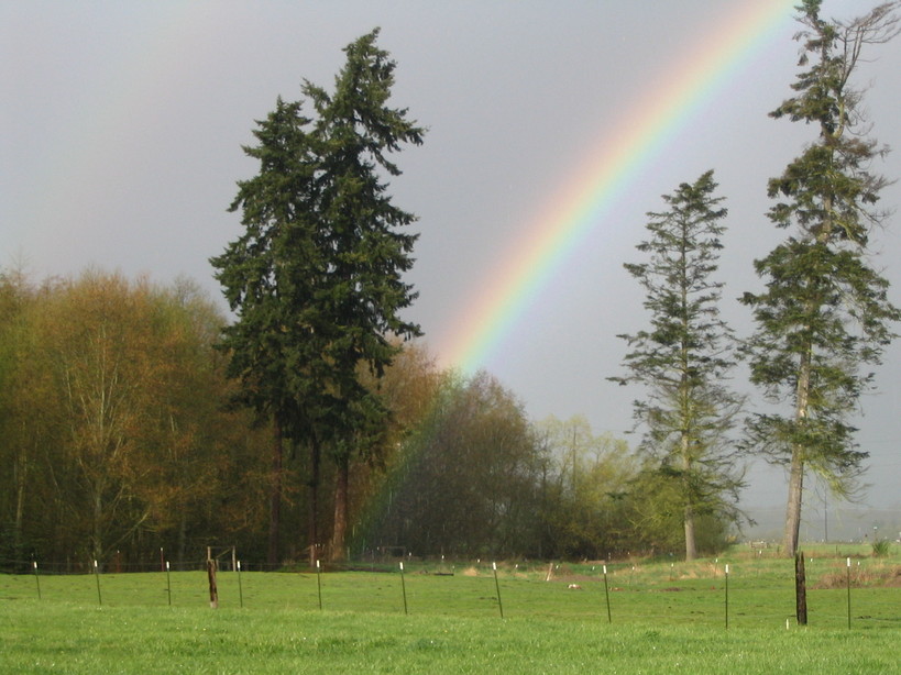 Carlsborg, WA: what lies at the end of your rainbow? Our backyard - Carlsborg