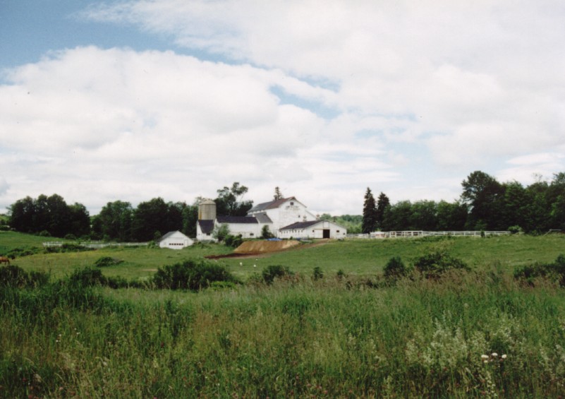 Morris, CT: The White Barn in East Morris Center