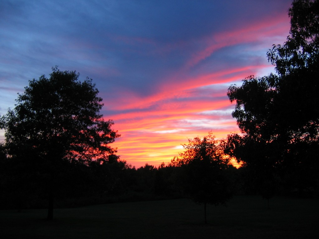 Hohenwald, TN: This is a picture from my grandparents' back porch of a beautiful sunset.