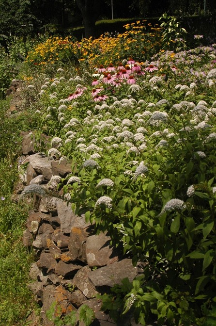 Coxsackie, NY: Stone wall and garden, CR 26, Climax
