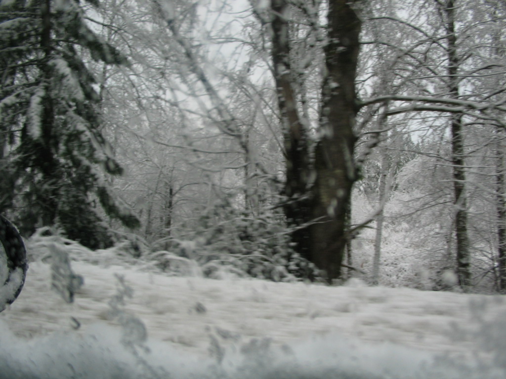 Black Diamond, WA: Snowy day