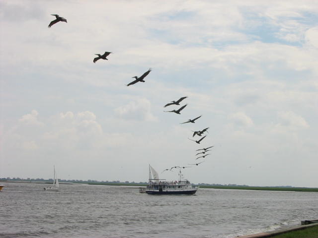 Southport, NC: On the Cape Fear River