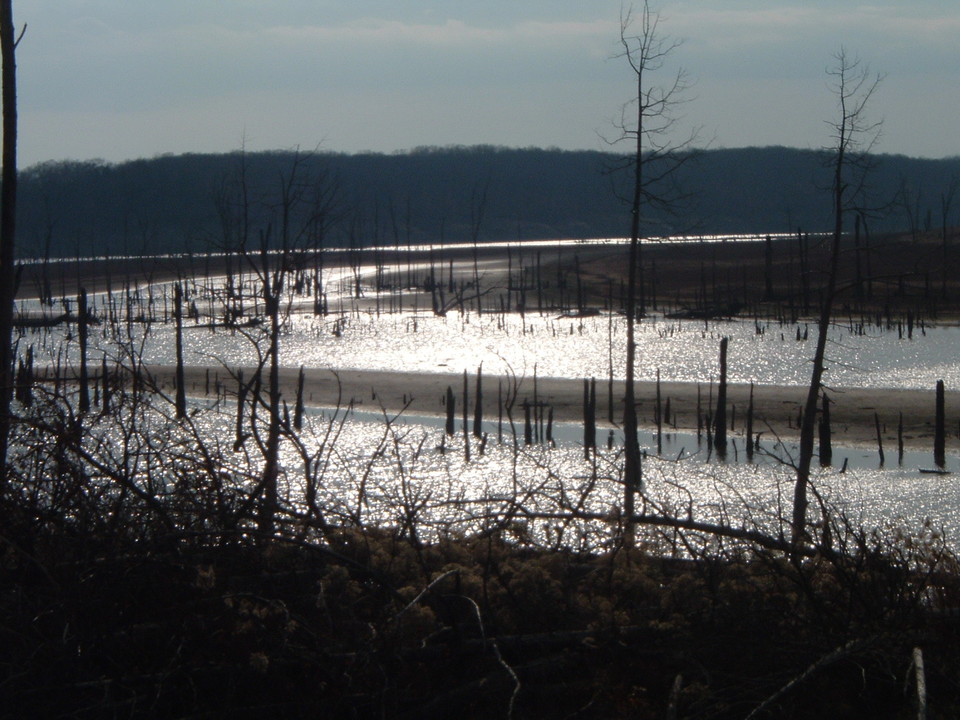 Perry, MO: the fishing access @ our lake house @Mark Twain Lake