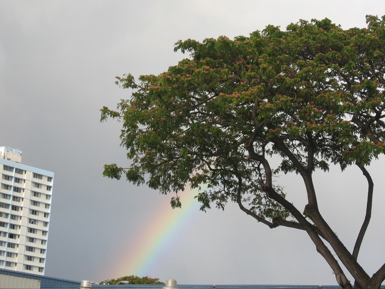 Honolulu, HI: 2005-05-18, 2 (Rainbow shot right above Safeway grocery store at Young Street)