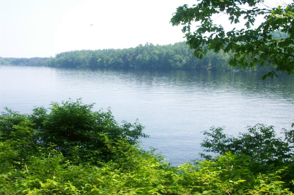 Auburn, NH: Lake Masabesic from the trai