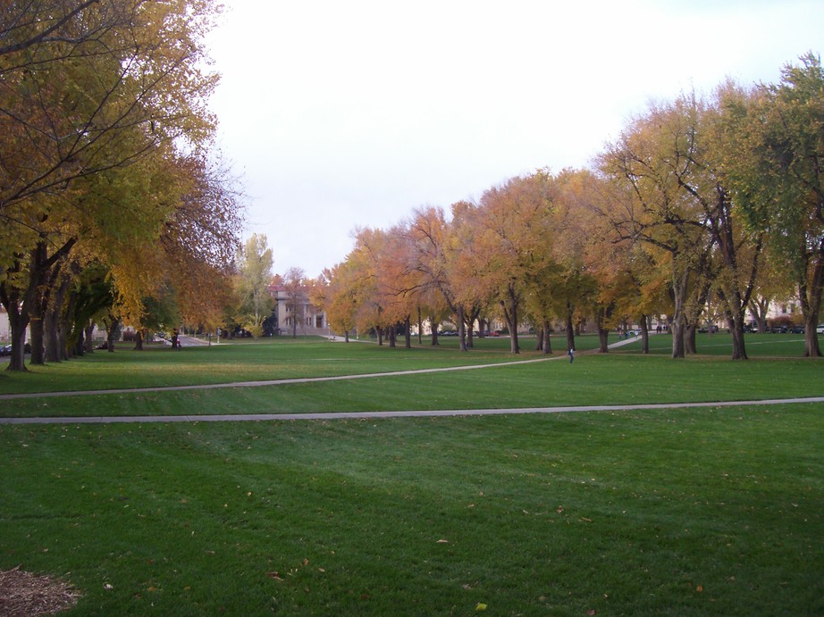 Fort Collins, CO : The Oval at CSU in the fall photo, picture, image