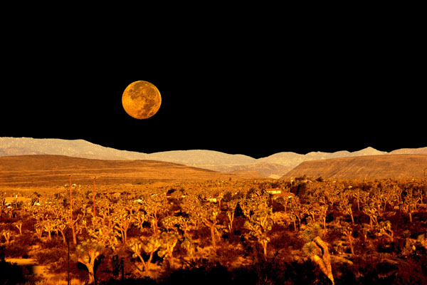 Yucca Valley, CA: Moon over Yucca Valley