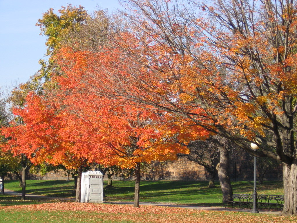 Hartford, CT: The fall colors at Bushnell Park, Hartford, CT.