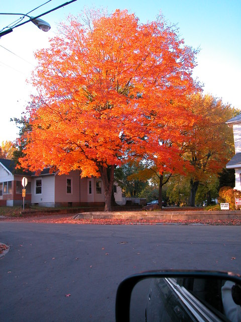 Farmington, MO: Autumn of 2003