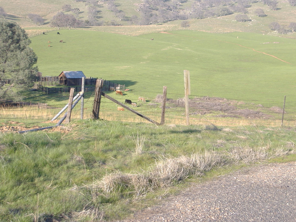 Valley Springs, CA Valley Springs at It's Finest photo, picture