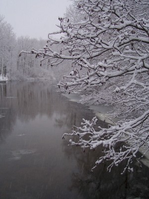 Thompsonville, MI: Betsie River in Winter