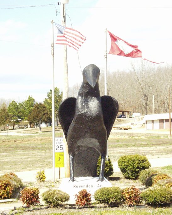 Ravenden, AR: The Raven of Ravenden AR