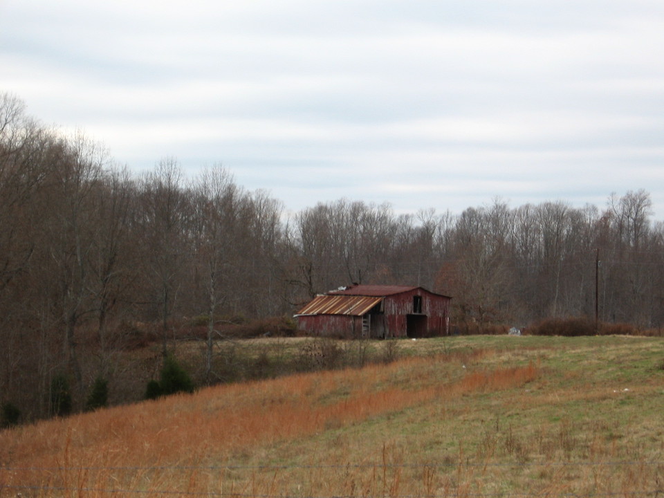 White Bluff, TN: taking a country ride and we seen this barn out on joslin blanch in white bluff