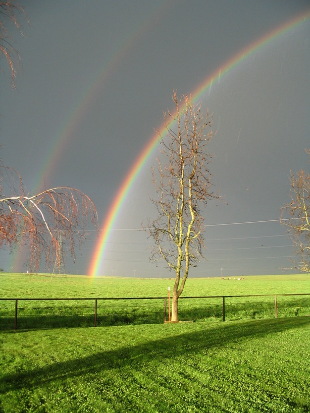 Farmington, CA Another pic in Farmington. photo, picture, image