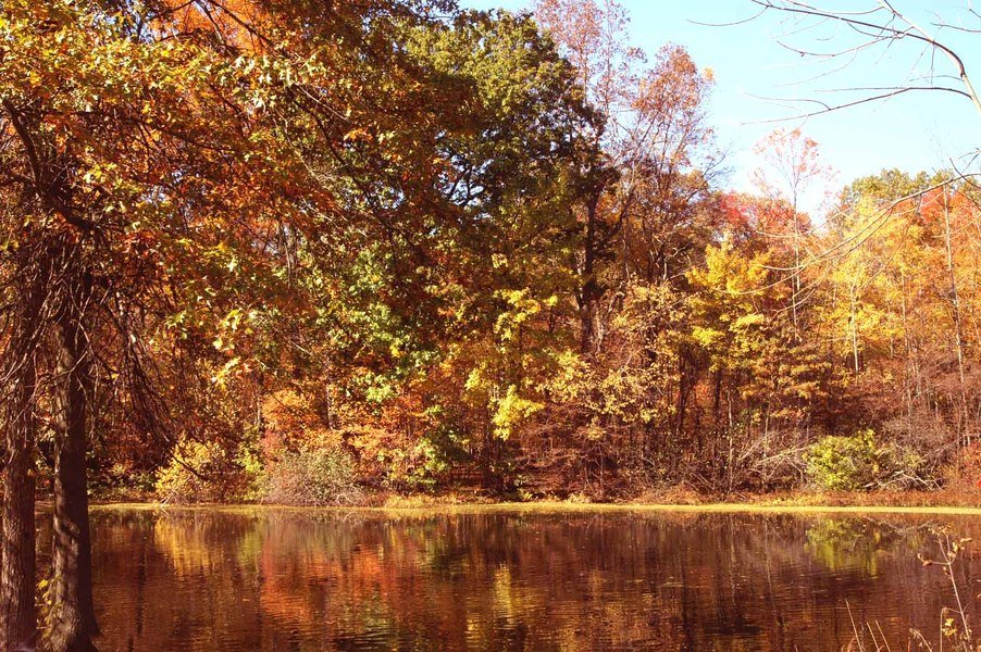 Washingtonville, NY: Twin Arch Rd in the Fall of 2006