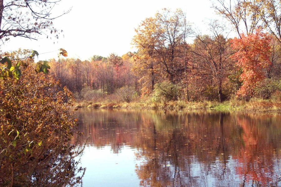 Washingtonville, NY: Twin Arch Rd in the Fall of 2006