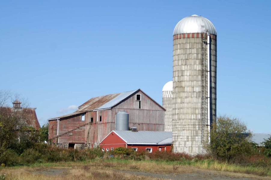 Washingtonville, NY: A Prestigious Farmer in Washingtonville NY 2006