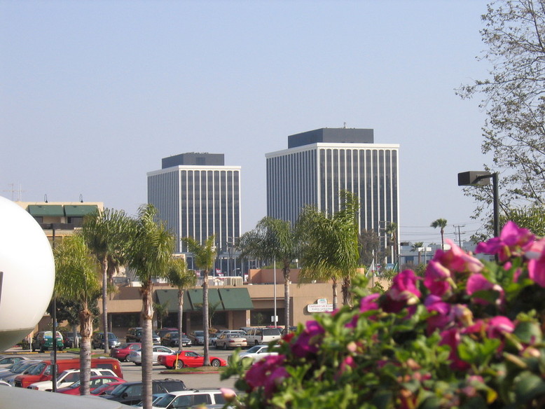 Marina del Rey, CA: The famous Marina Towers, where ICANN, ISI, and other well known corporations are located.