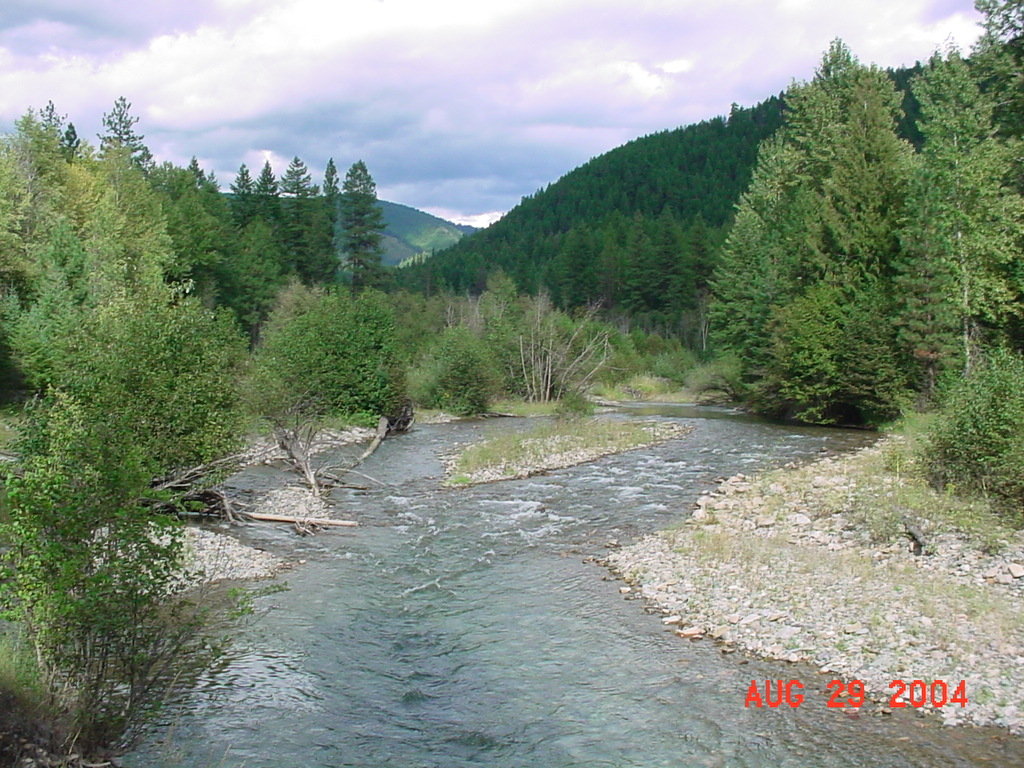 Trout Creek, MT: The Vermillion River flows down from the mountains, emptying into the Clark Fork River. This is the area famous in the 30's and 40's for gold mining and was once a very prosperous area.