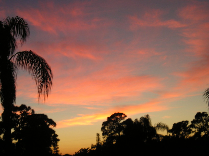 South Venice, FL: Sunset