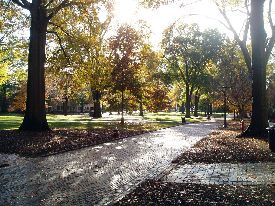 Columbia, SC: USC Horseshoe