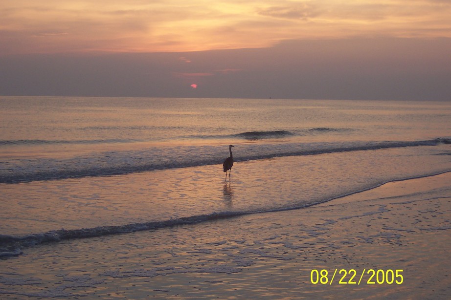 Longboat Key, FL Sunset on Longboat Key photo, picture, image