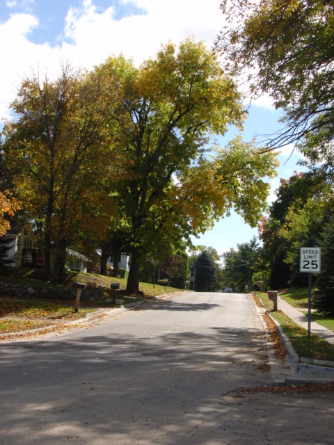 Columbiaville, MI: Autumn leaves