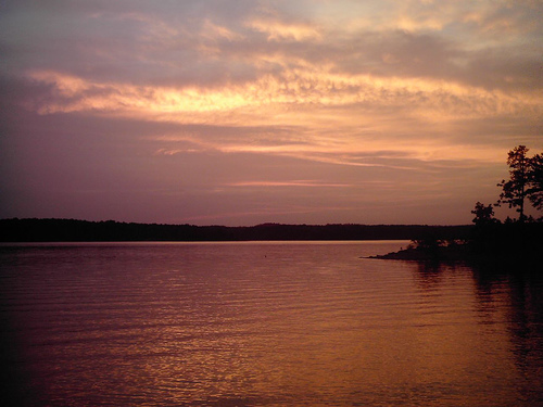 Mount Ida, AR: Here is a beautiful picture of Lake Ouachita located in the heart of Mount Ida. Simply beautiful when we went camping.