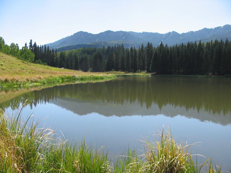 Montrose, CO: Beaver Lake by Montrose