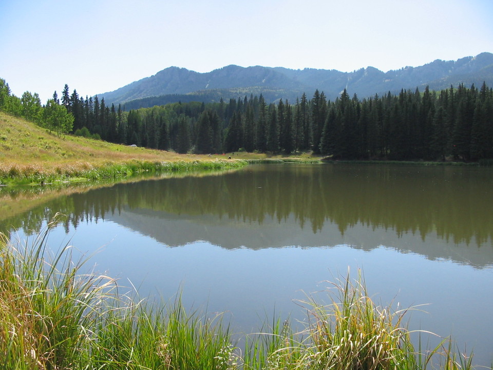 Montrose, CO : Beaver Lake by Montrose photo, picture, image (Colorado