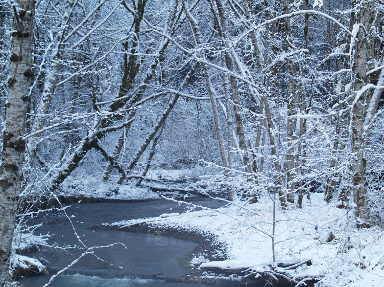 Pe Ell, WA One of the times we got snow photo, picture, image