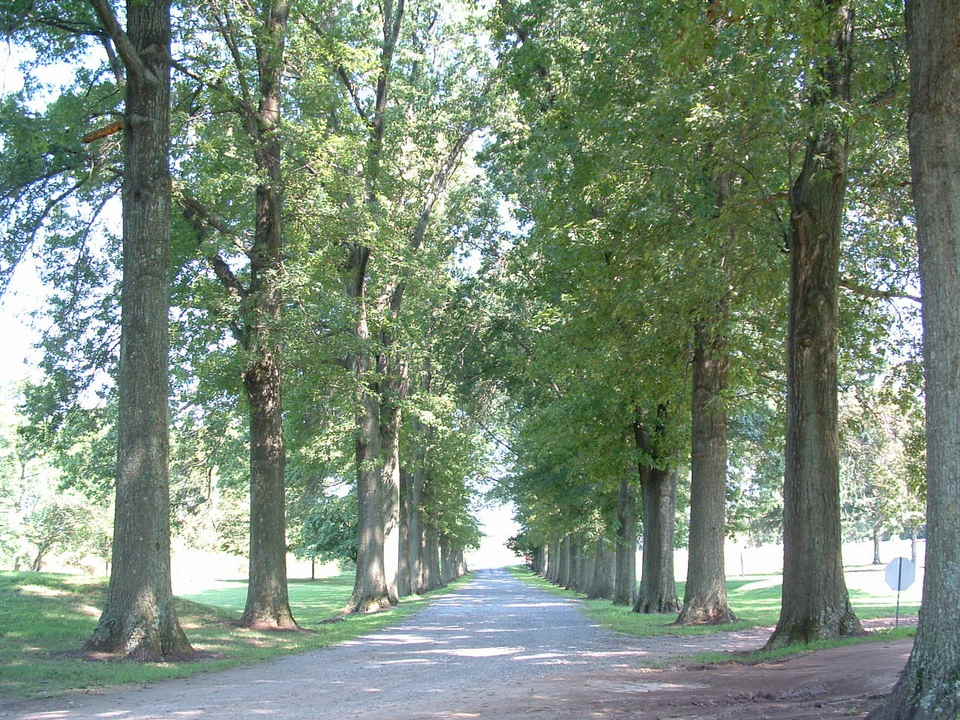 Skippack, PA: The Old Driveway into Skippack Golf Course (August 2003)