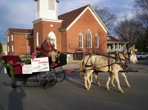 Dayton, TN: Holiday Carriage Parade, Downtown Dayton